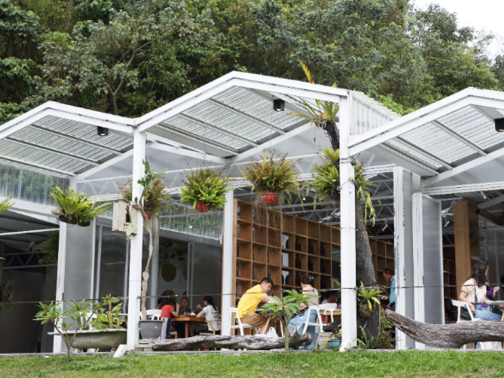 嘉義梅山山林秘境森呼吸，攀上阿里山的天空之城，來趟步道、老街、咖啡之旅。