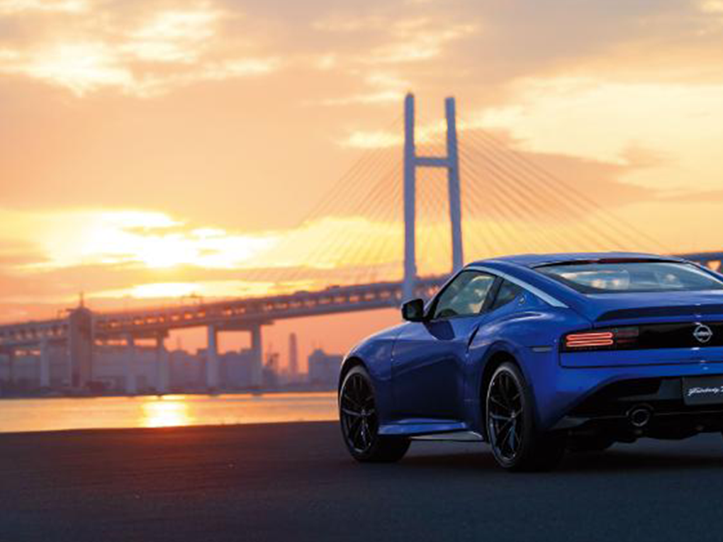 戶外野放 Sandy最懂你